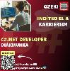 Junior C#.net szoftverfejleszt – Dikmunka sztl - Ozeki Kft.